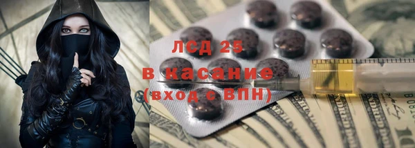 прущие грибы Баксан