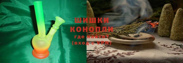 прущие грибы Баксан