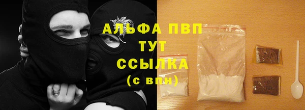 прущие грибы Баксан