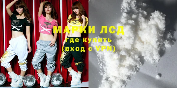 прущие грибы Баксан