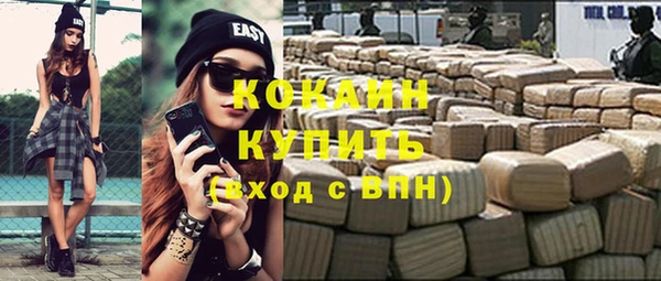 прущие грибы Баксан