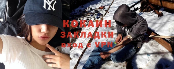 прущие грибы Баксан
