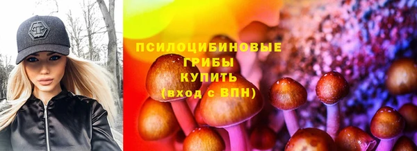 крисы Балабаново